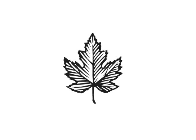 Maple Leaf Icon